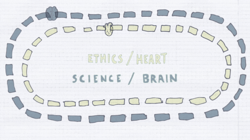 Looping GIF: track where a brain "outraces" a heart
