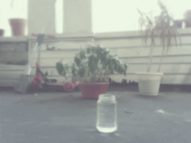Animated GIF of the jar pulling a plant closer